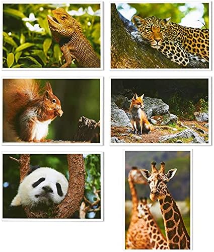 Детски картички с диви животни, 20 дизайни (4x6 инча, 40 опаковки)
