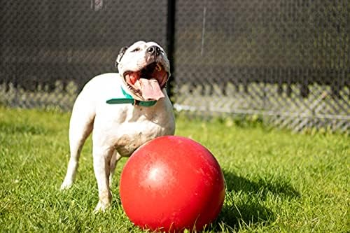 Играчка за куче с топка Jolly Pets Push-n-Play