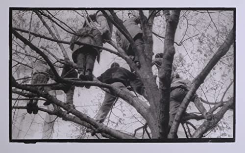 Дърво 1991 - Разпечатки от платина и паладий