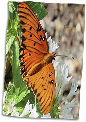 3дРоза Оранжево-черна пеперуда на бяло цвете - Кърпи (twl-281527-3)