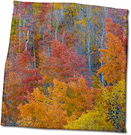 3. Многоцветни трепетлика през есента в планините Уосатч в огдън юта, Юта - Кърпи (twl-279596-3)