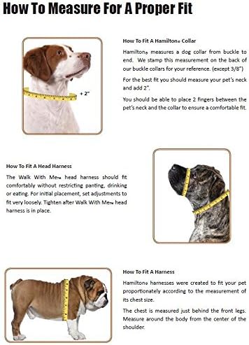 Хамилтън B Chea MDBY 3/8-Инчов Регулируема Шлейка за кученца Figure 8 с Пръстен от Матирана Обков и брелоком, Средна,