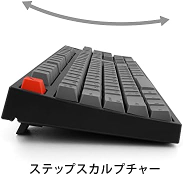 アーキス (Archiss) Механична клавиатура Arkis AS-KBM08/TGBAWP Maestro FL, японска клавиатура, Брой клавиши: 108 (с кана-печат), В комплект с инструмент за теглене на горната част на клавиш?