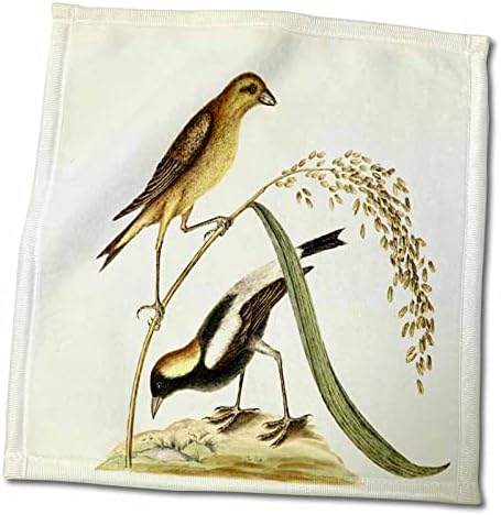 Птици 3dRose Florene - Рядък Цветен 1700 г. От 2 южните райони на САЩ Birds.jpg - Кърпи (twl-98622-1)