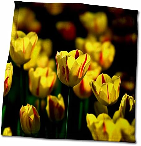 3. Жълти цветя лалета, окъпани в слънчева светлина, на тъмно зелен фон - Кърпи (twl-265558-3)