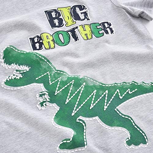 Тениска с Обявяването на Старши Брат Динозавър, Дрехи за Братя и Сестри, за Малки Момчета