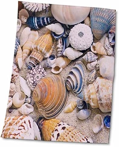 3D Фотография на природата Андреа Хаазе - Чудесна колекция от морски черупки - Кърпи (twl-274823-3)