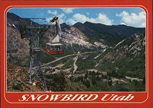 Трамвай в Сноуберде Snowbird, Юта, ЮТА Оригиналната реколта картичка