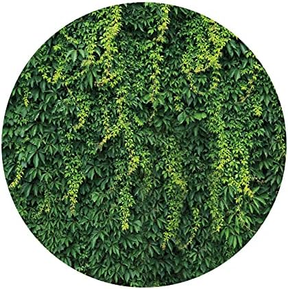 DASHAN Кръг на Зелен Фон Зелени Листа 7,2x7,2 метра Полиестер Билков Фона на Стена от Естествен Пролетта Усещането за Пейзаж Фон За Снимки Семеен Празник Открит на рожден