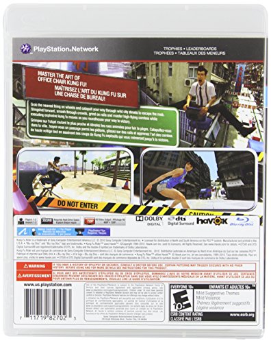 Състезател кунг-фу (управление на въздушното движение) - Playstation 3