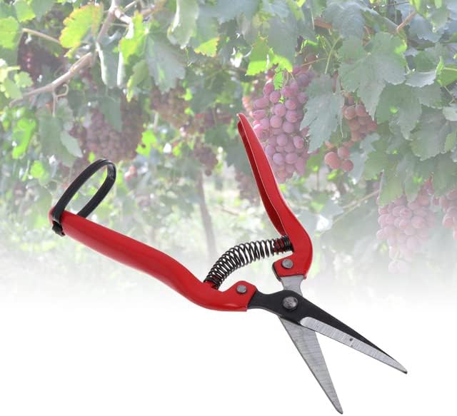 Ножици за Подрязване на растения, Градински Ножици, Нож За Цветни Клони Ръчни Ножици Инструмент