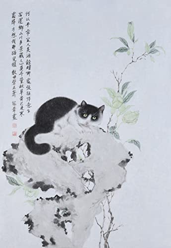 Котка Цвете Магнолия Камък Taihu Китайска Живопис Ръчно Рисувани Стенни Изкуството на Източна Четка За Миене на Мастило