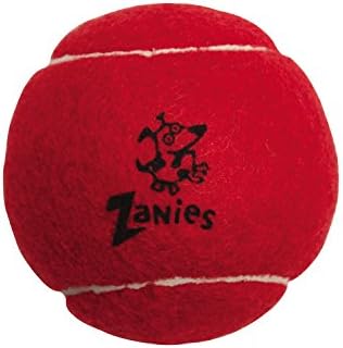 Тенис топки Zanies Puppy Гордост за кучета, 6 опаковки – Тенис топки с диаметър 2.5 инча Съвпадат с цветовете на знамето на Дъгата гордост